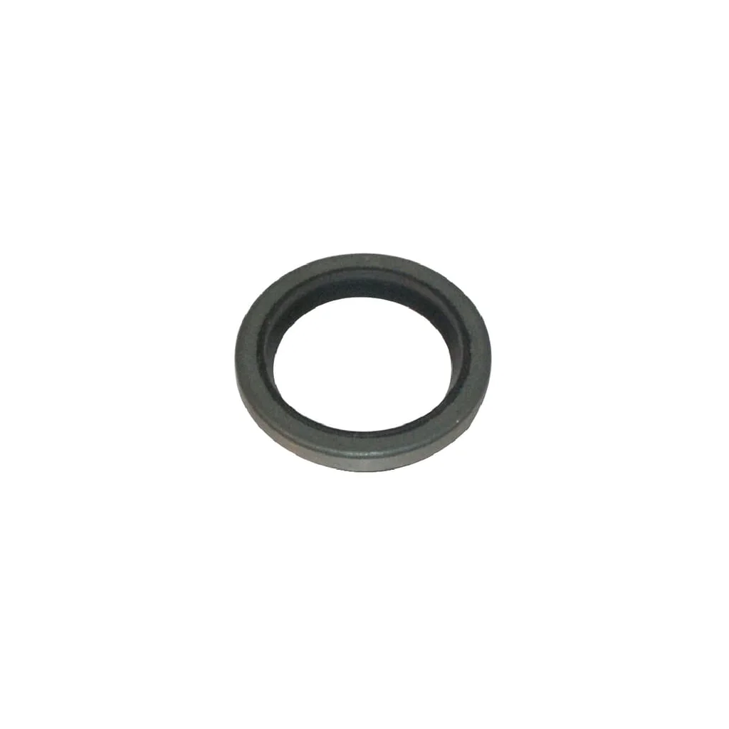 [AMAT2-100915] Simering 294606S