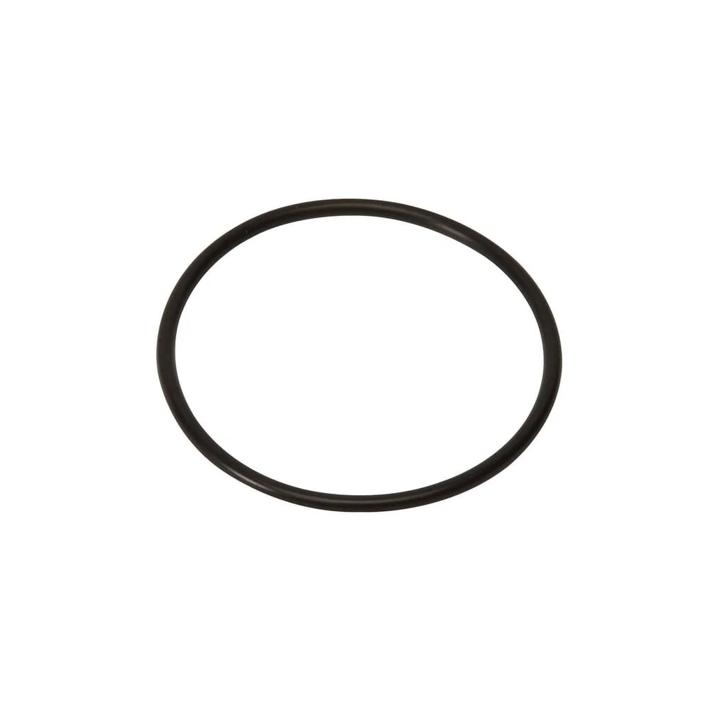 [AMAT2-93897] O-ring 59.5x3mm 241754