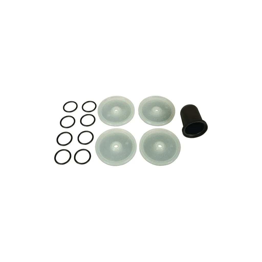 [AMAT2-101771] Set membrane Desmopan Bertolini 289887973DS