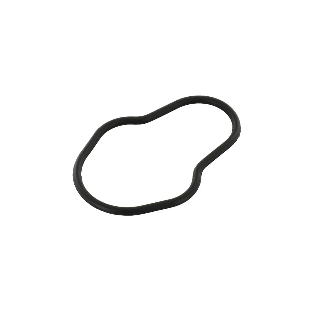 [AMAT2-101892] O-ring 2830156
