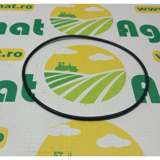 [AMAT1-19100] O-Ring 213409 