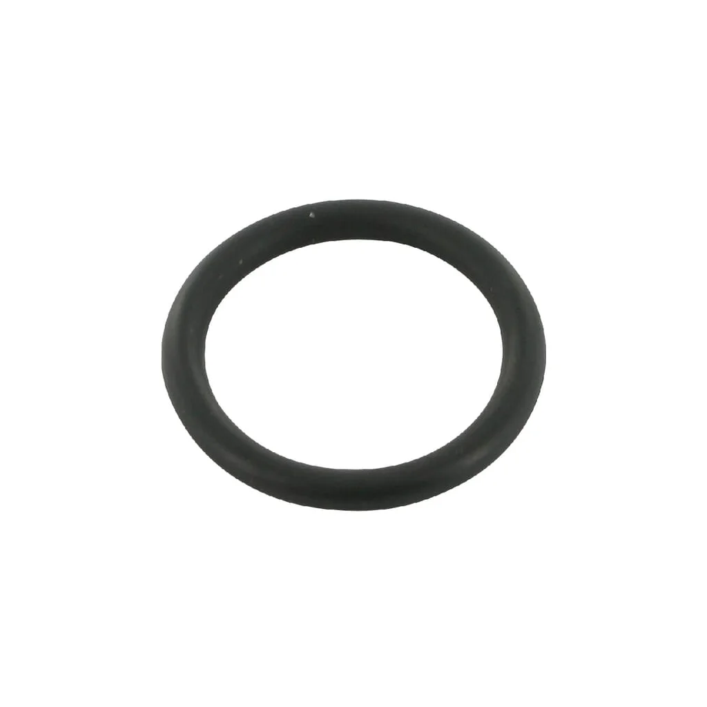 [AMAT2-105378] Garnitură inelară arbore frână de mână Case-IH 3058327R1