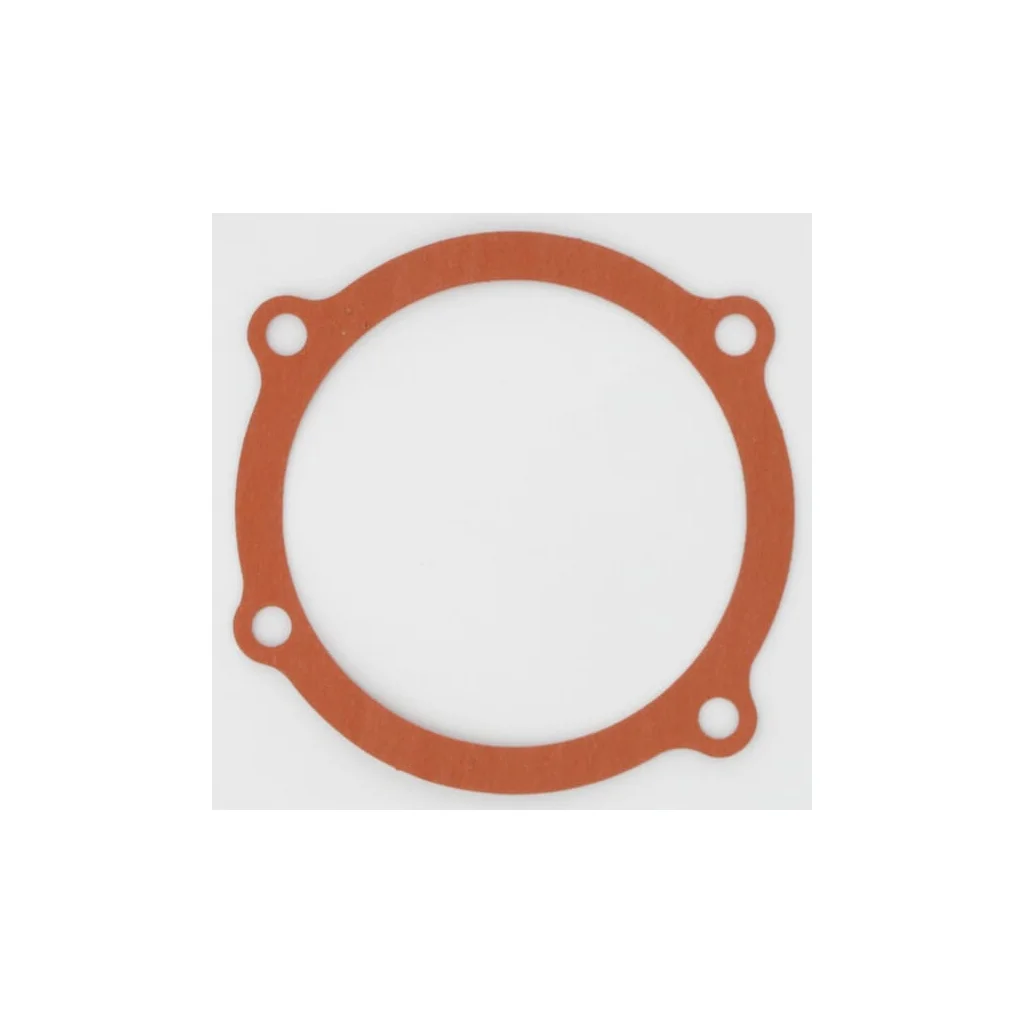 [AMAT2-106431] Garnitură pompă apă Case IH 311782A1