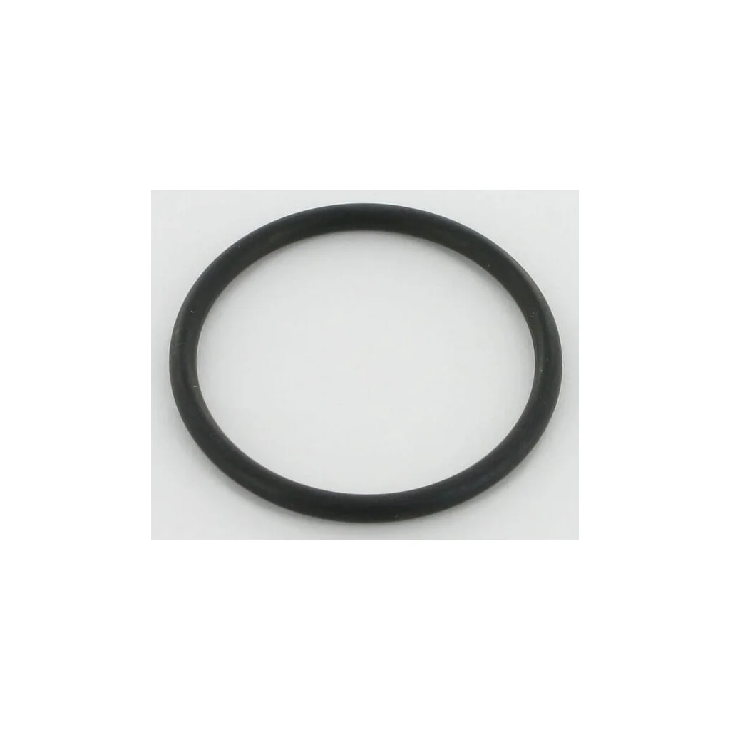 [AMAT2-105549] O-ring pompă combustibil 3055389R2