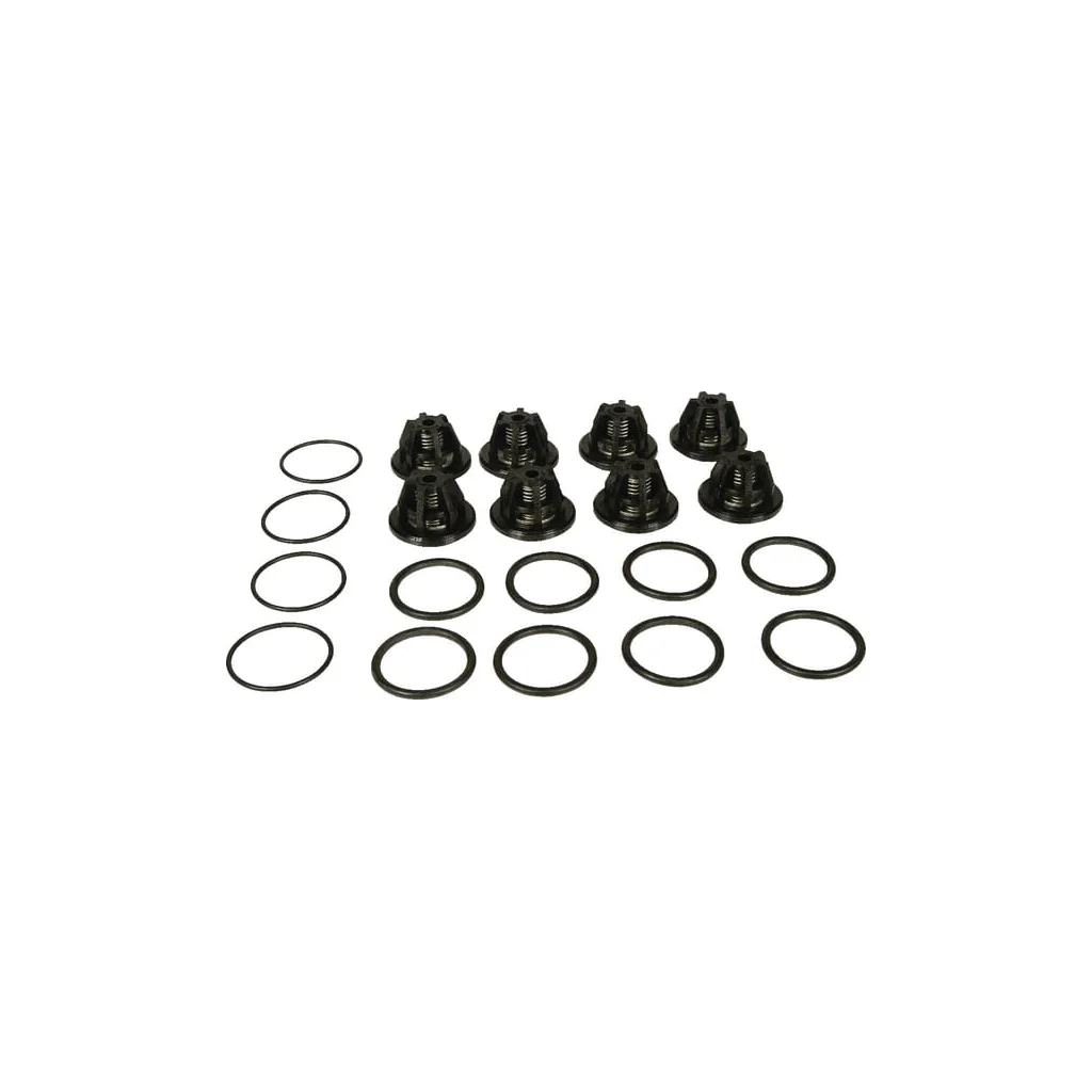 [AMAT2-102070] Set supape Bertolini 289884973