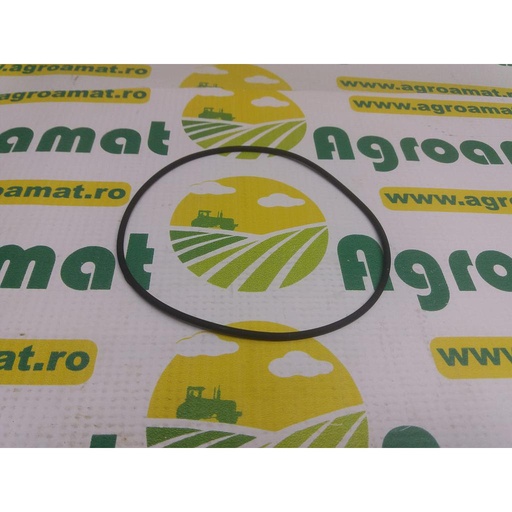 [AMAT1-18793] Inel Camasa 2.153.9193.0