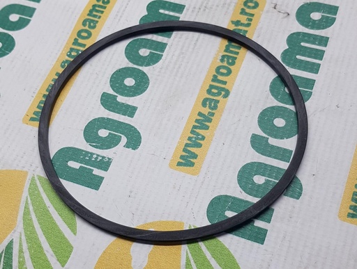 [AMAT1-18687] O-Ring Priza Putere 2.1569.180.0/10