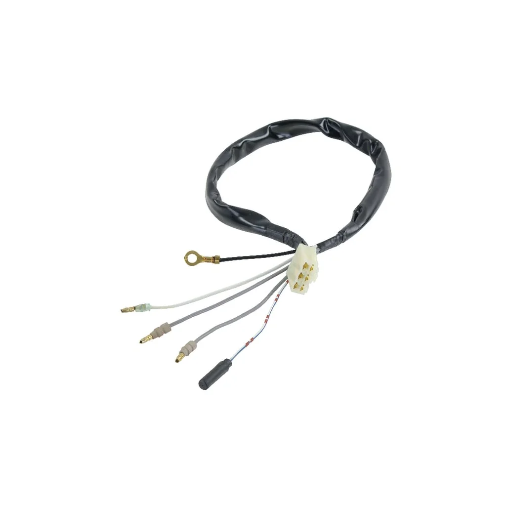 [AMAT2-110076] Cablaj asamblat 32105ZJ1800