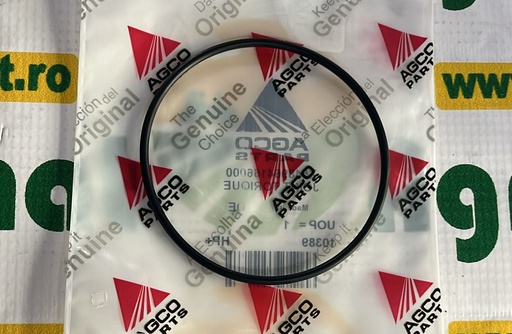 [AMAT1-16219] O-Ring X548964166000