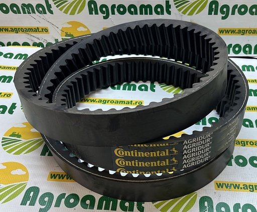 [0202717120] Curea Continental Danturata