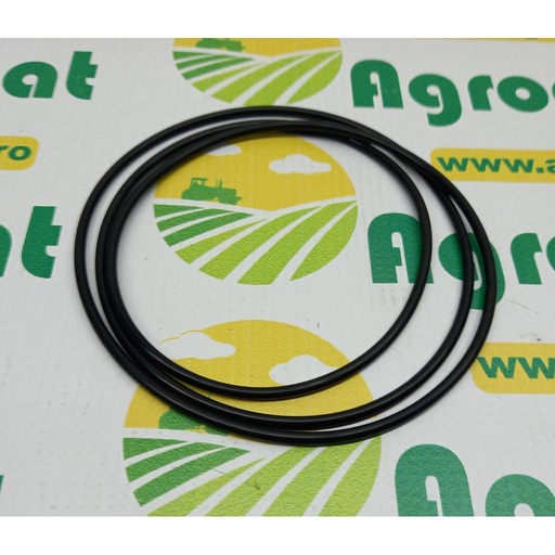 [AMAT1-19249] O-Ring 2.1539.518.0