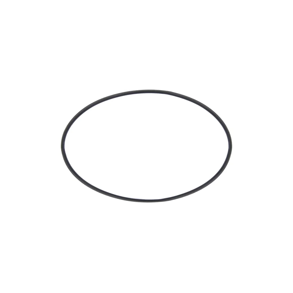 [AMAT2-107955] O-ring 101.27x2.62mm 70 Shore Viton maro 316300060
