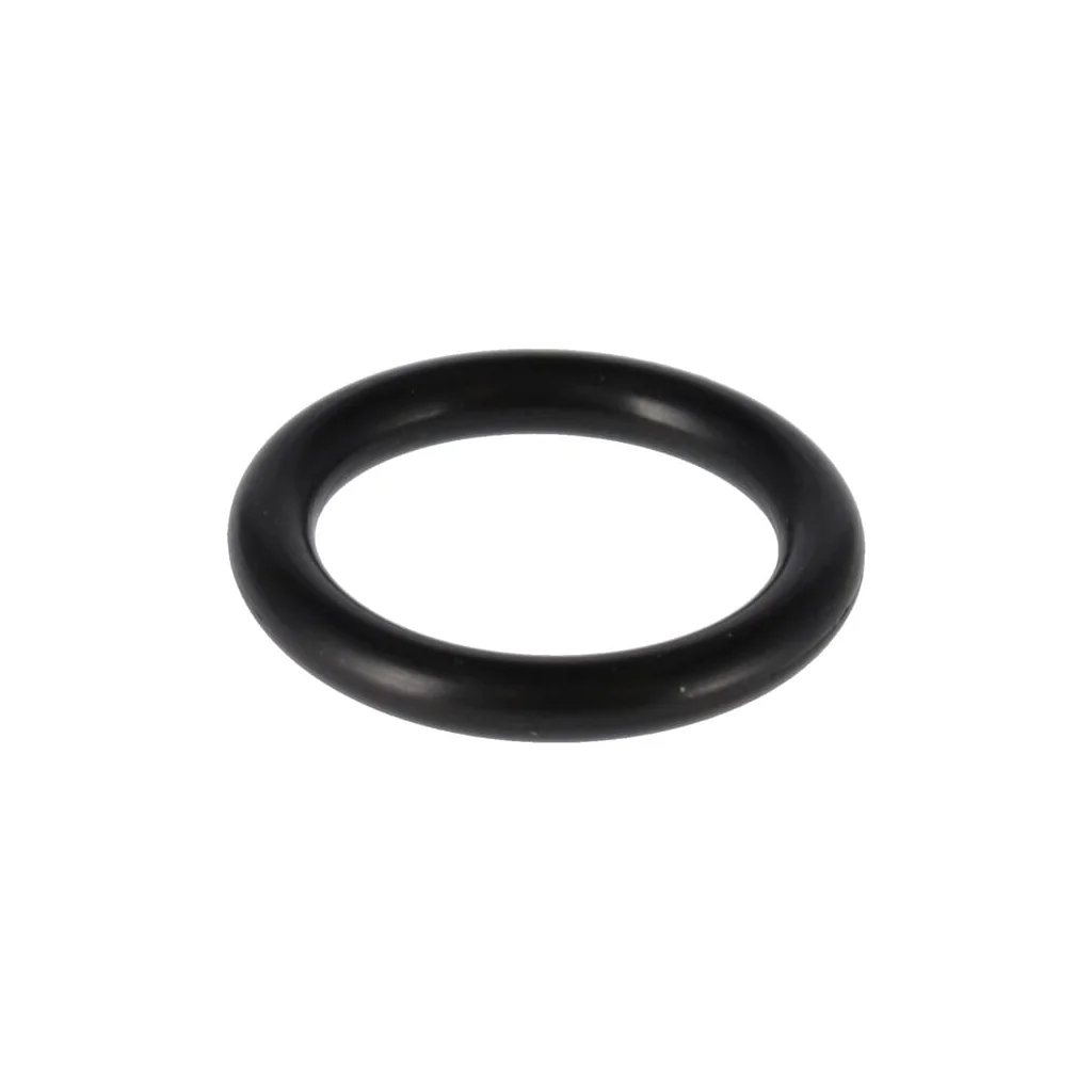 [AMAT2-120241] O-Ring 371369