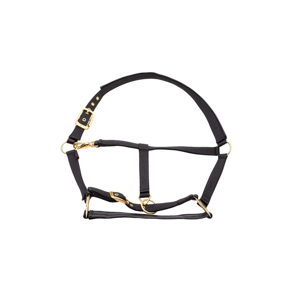 [AMAT2-108247] Halter Topline negru Full 3224617