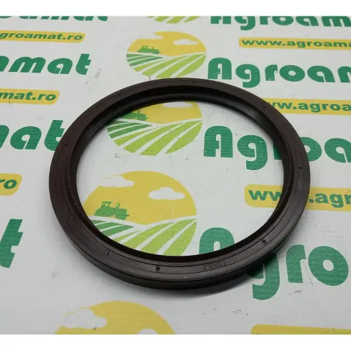 [AMAT1-19732] Simering Arbore Motor 1447691Z1