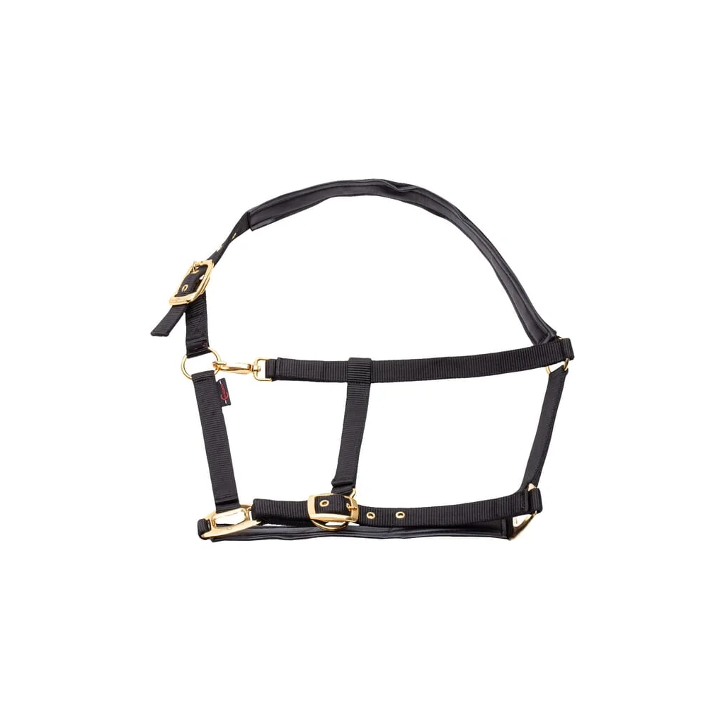 [AMAT2-108500] Halter Topline negru XFull 3224618