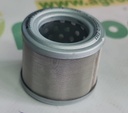 Filtru Combustibil
