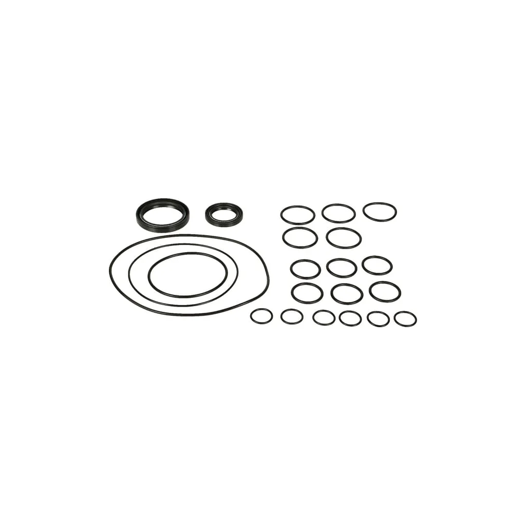 [AMAT2-117458] Set piese de rezervă pompă Bertolini 359880973