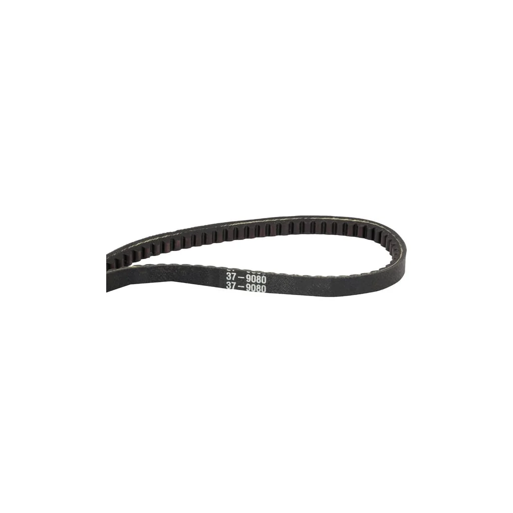 [AMAT2-121439] Curea Toro 379080