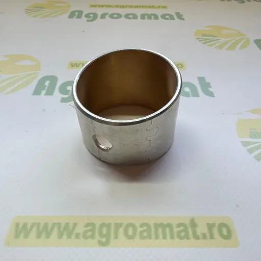 [AMAT1-20021] Bucsa