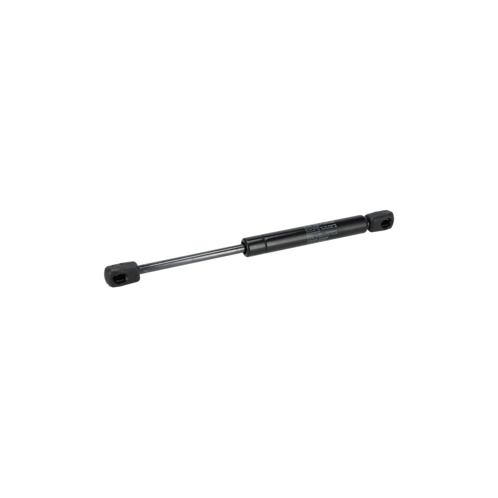 [AMAT2-118245] Cilindru 3660101M91