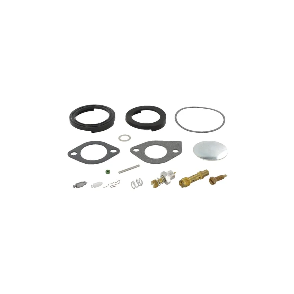 [AMAT2-123657] Kit de reparare carburator 394698