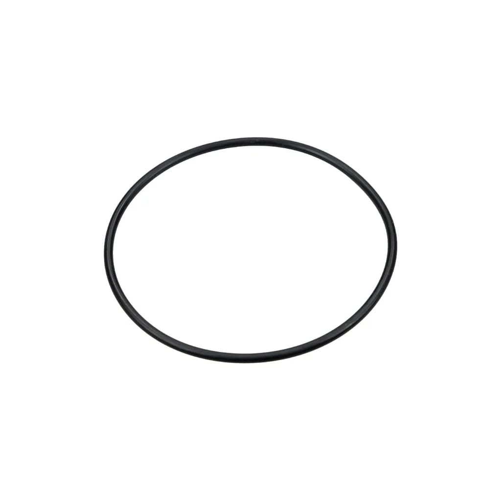 [AMAT2-137992] O-ring 8.7.6.6.01188 435887601188