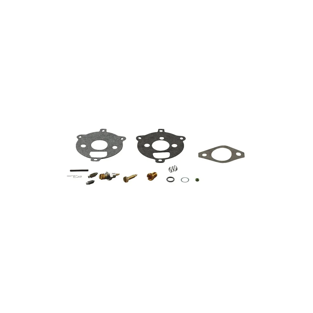 [AMAT2-123926] Kit de reparare carburator 394693