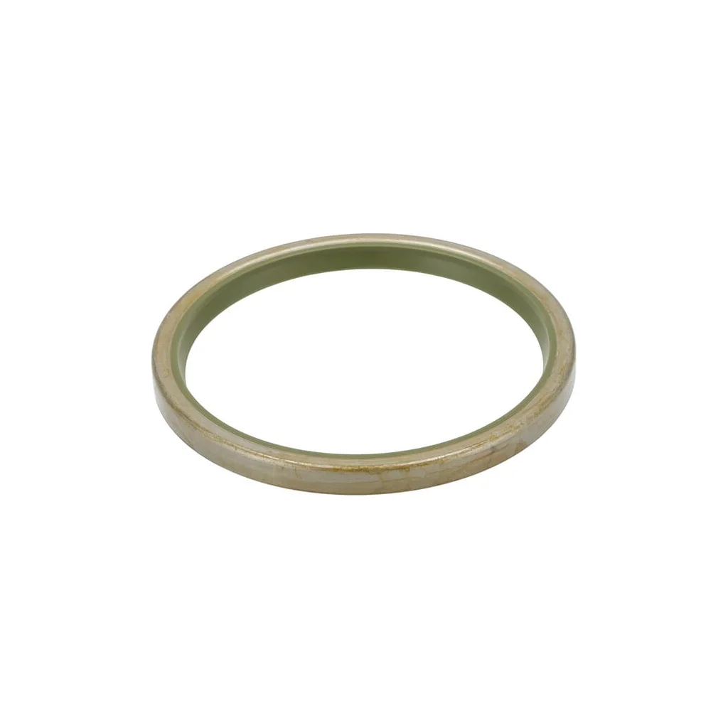 [AMAT2-134688] Garnitură de praf 4210911310