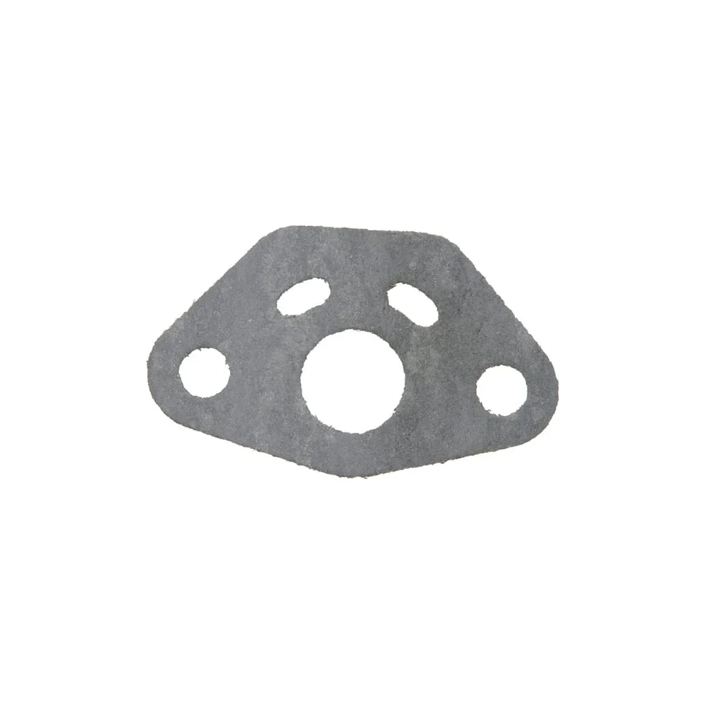 [AMAT2-134862] Garnitura carburatorului 418612