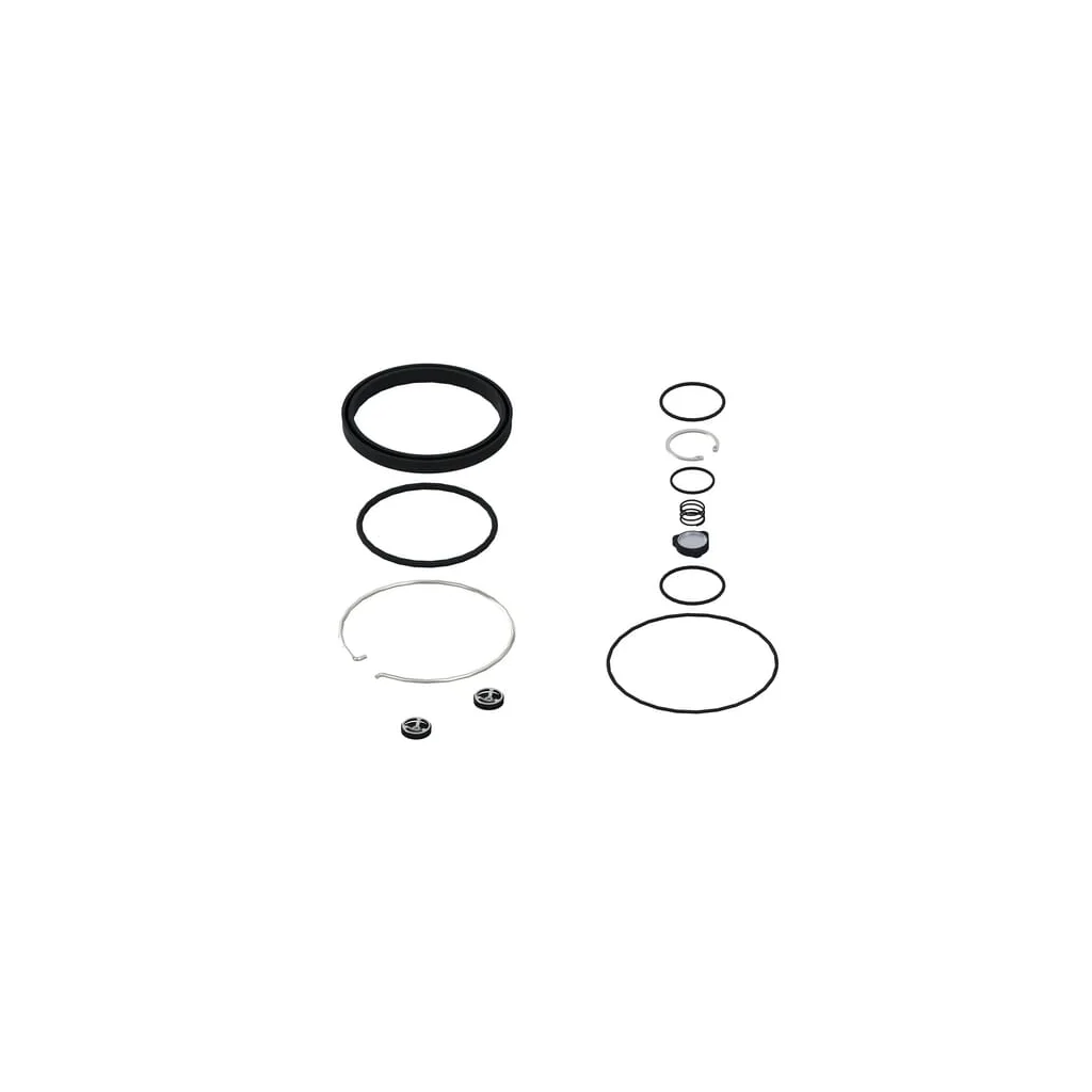 [AMAT2-141282] Kit: supapă+garnitură 4620070032