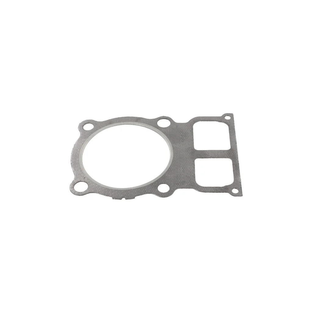 [AMAT2-144374] Garnitură chiulasă Lombardini 4730760