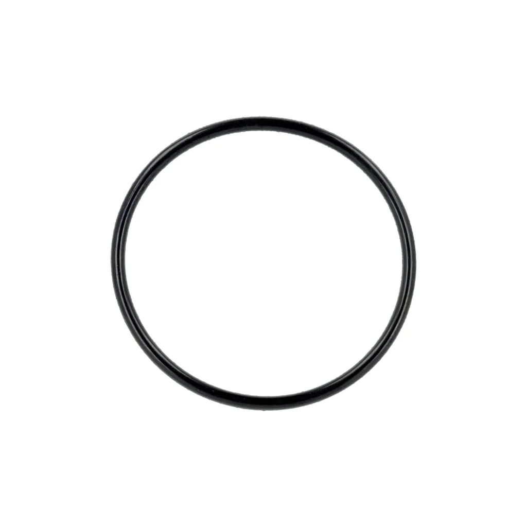 [AMAT2-141769] O-ring 55x3.1 463554