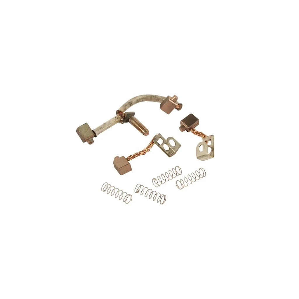 [AMAT2-148413] Set perii de cărbune 497608
