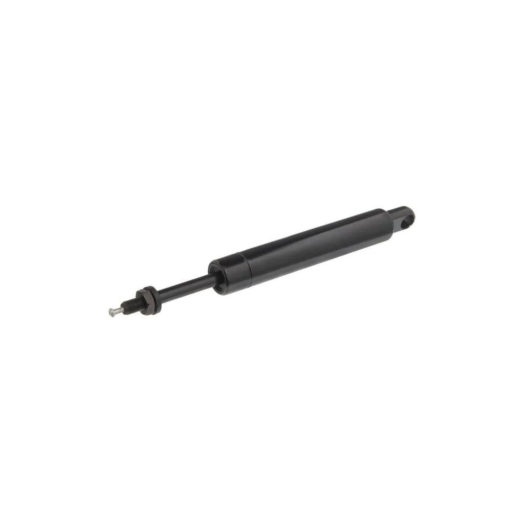 [AMAT2-145111] Amortizor de gaz 47395995