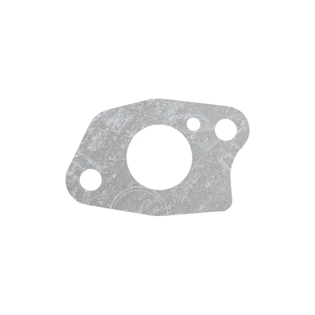 [AMAT2-136081] Garnitură, carburator 423113
