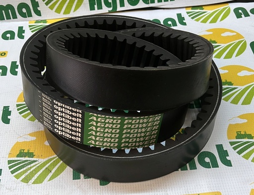 [751112.0] Curea Optibelt Danturata