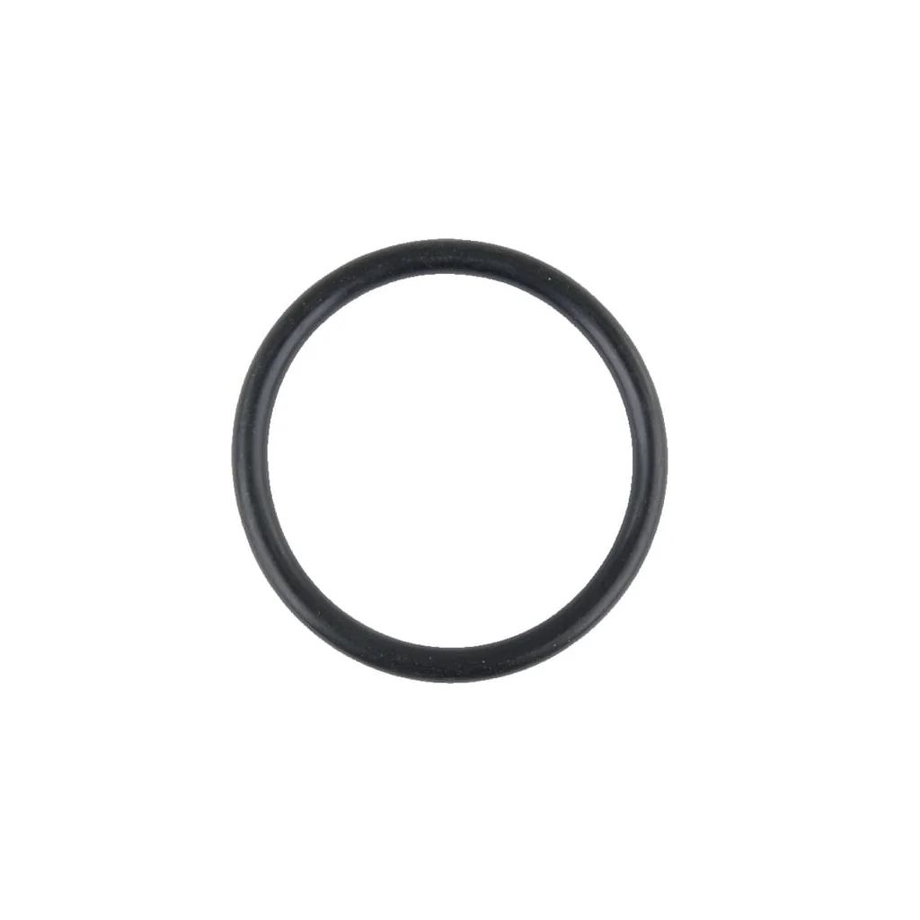 [AMAT2-136273] O-ring 424961