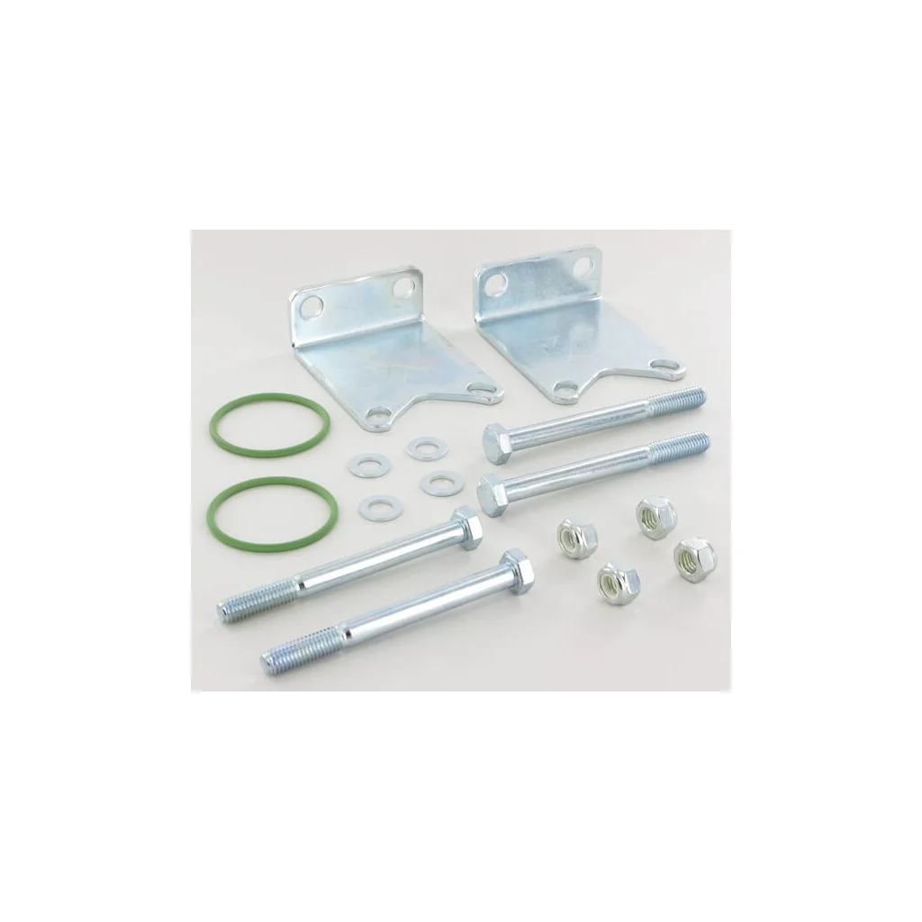 [AMAT2-142038] Set de fixare pentru o supapă 463 463000910