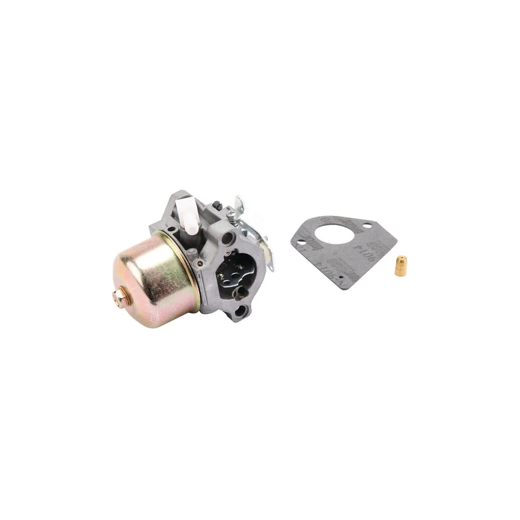 [AMAT2-149104] Carburator 495782