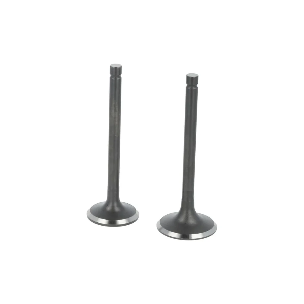 [AMAT2-149230] Set supapă 5005500370001