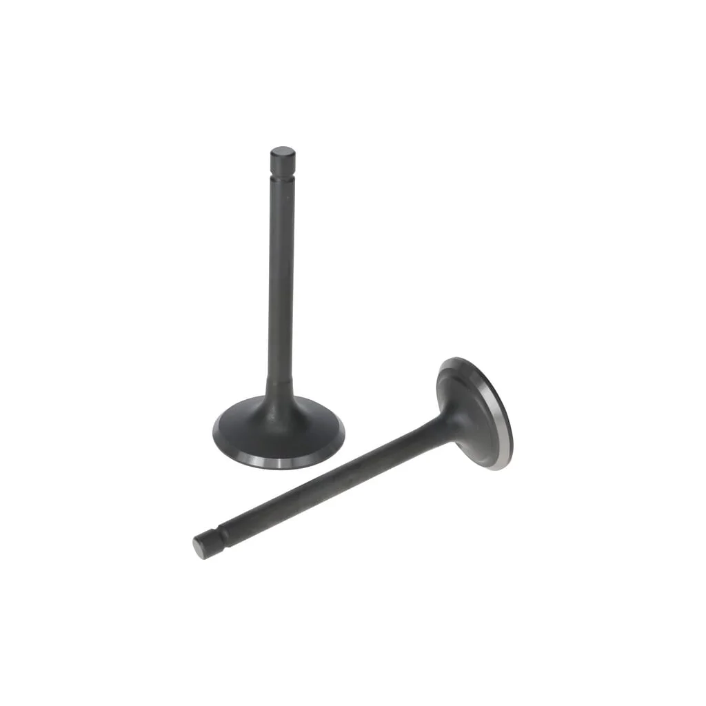[AMAT2-149261] Set supapă 5005500320001
