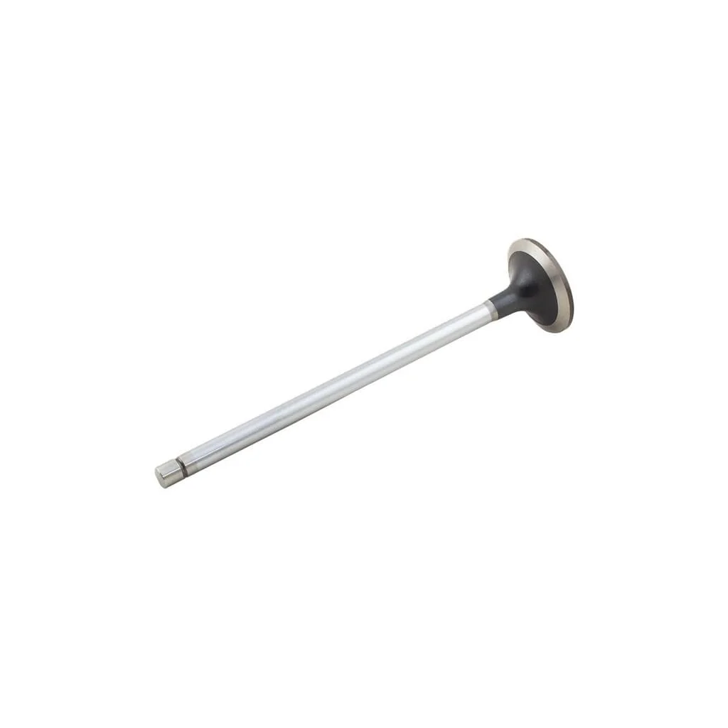 [AMAT2-149463] Supapă de admisie 500355778FPT
