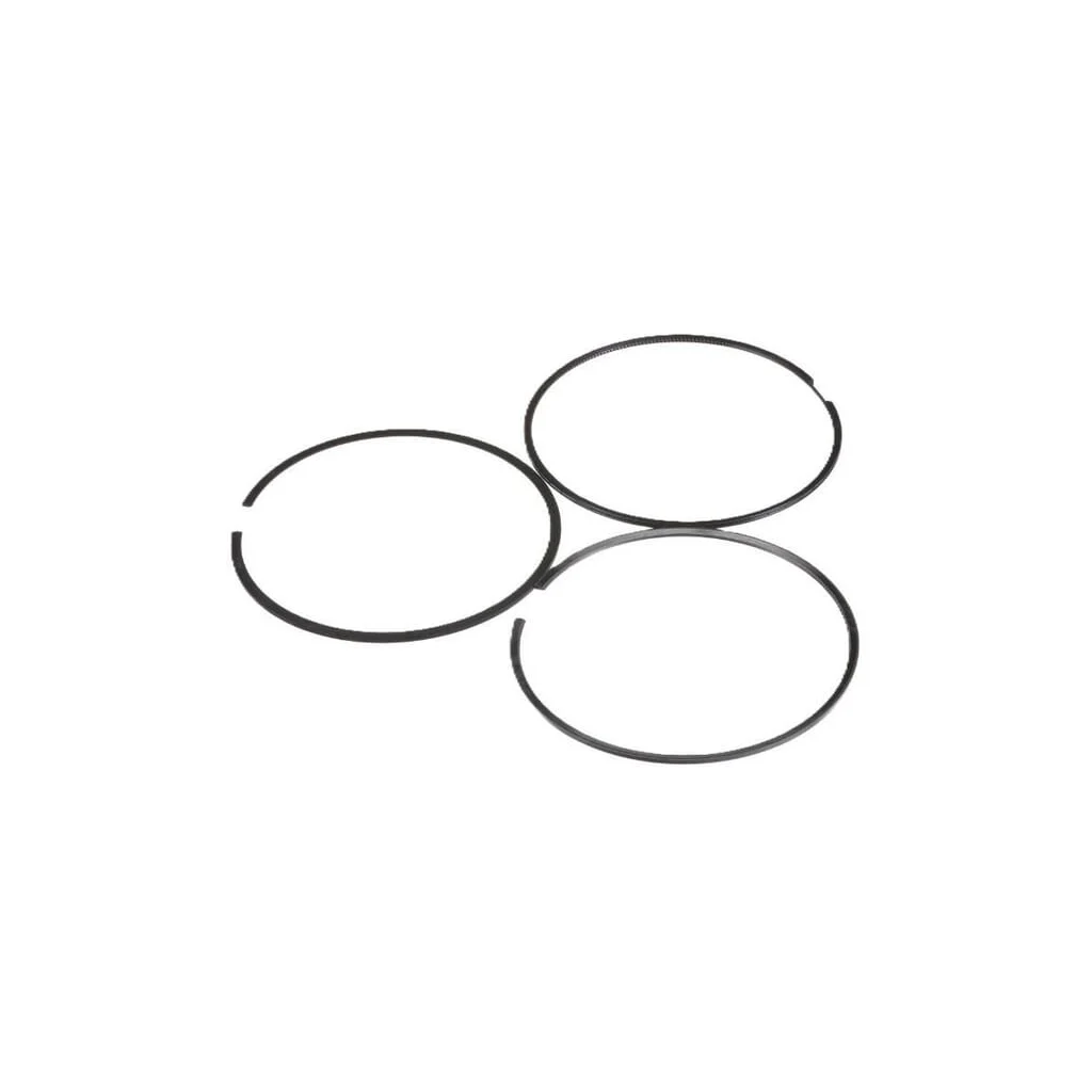[AMAT2-149741] Standard pentru inelele pistonului 500086079FPT