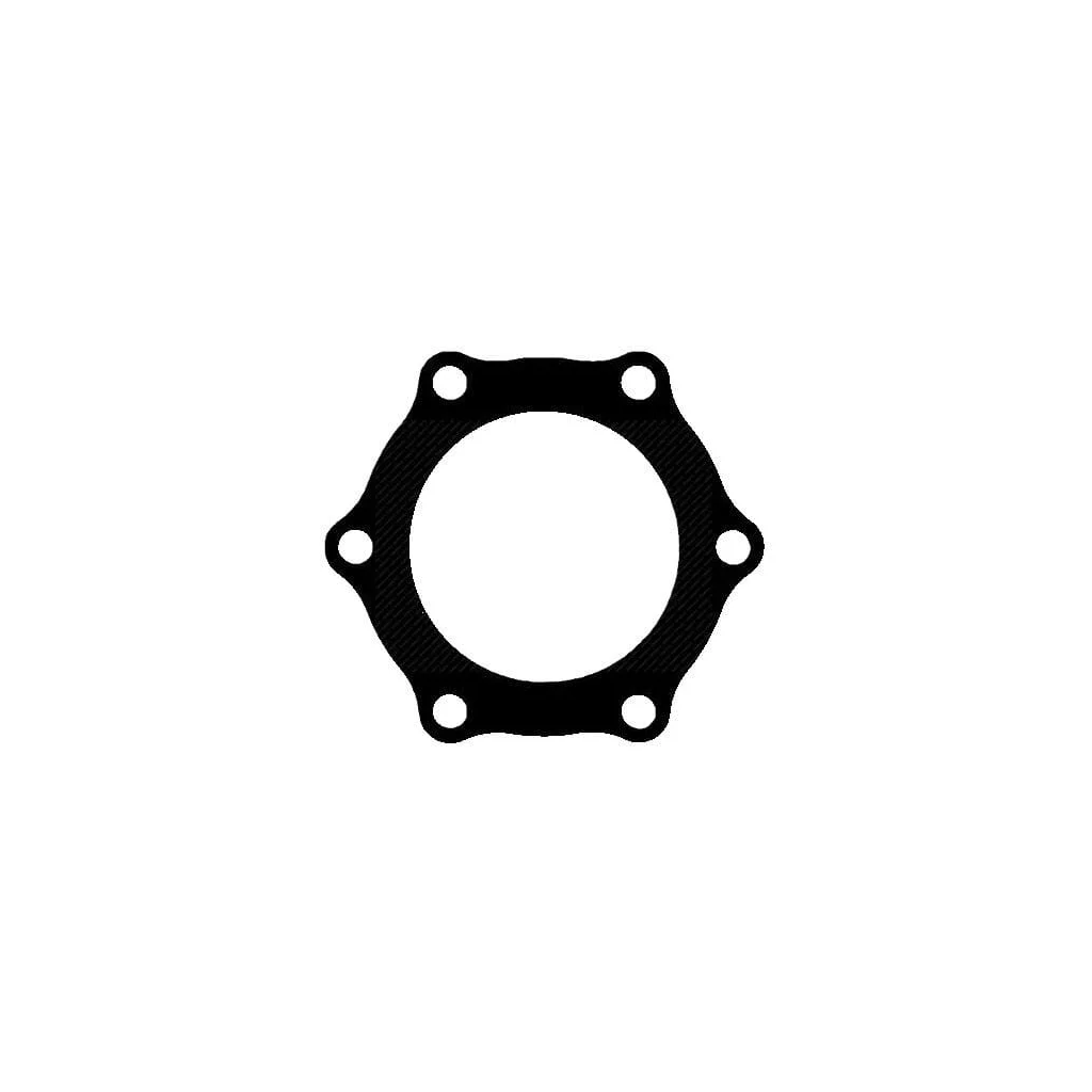 [AMAT2-149908] Garnitură plată motor 500387050FPT
