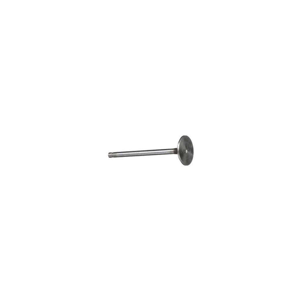 [AMAT2-146163] Supapă de evacuare standard 4895188