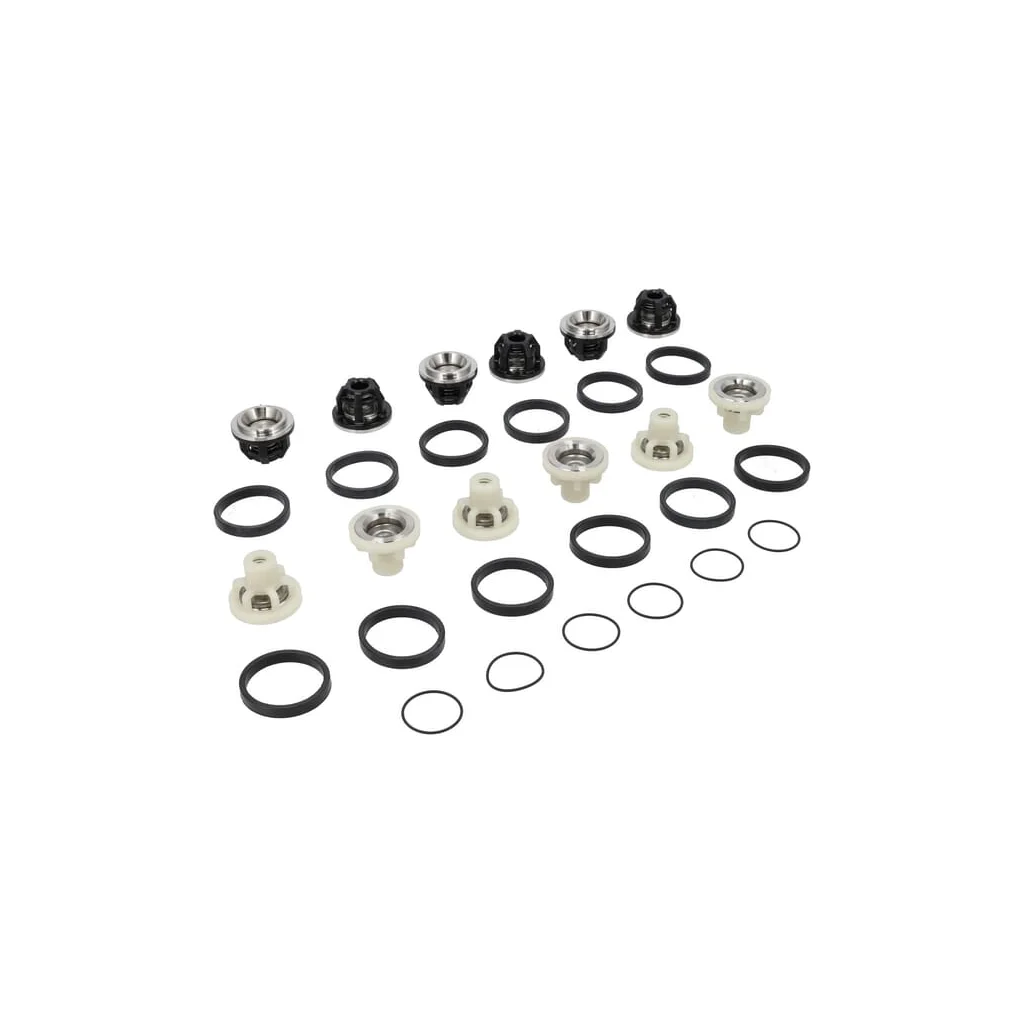 [AMAT2-150265] Kit complet ansamblu supapă 50250048