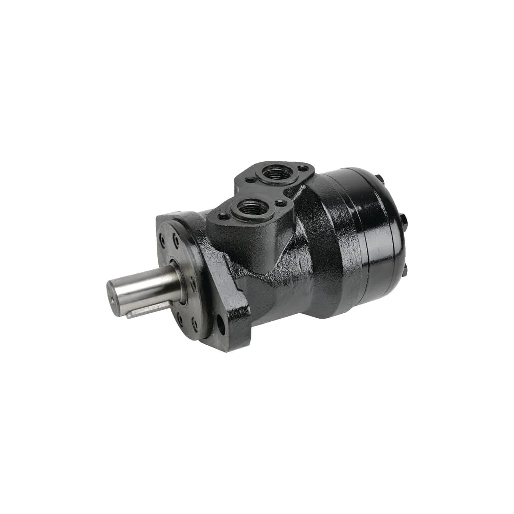 [AMAT2-150404] Motor hidraulic 100cc BR-EVO 5020400035