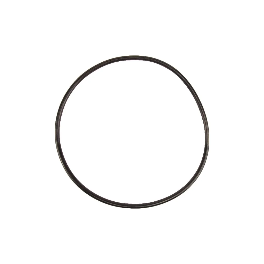 [AMAT2-150466] O-ring 5030210057