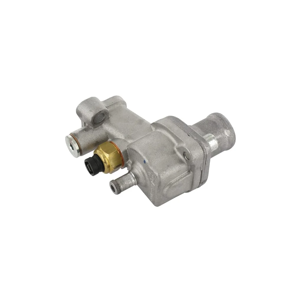 [AMAT2-146688] Termostat Lombardini 4896208